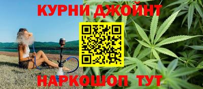 индика Гусь-Хрустальный