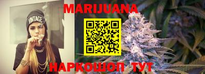 индика Гусь-Хрустальный