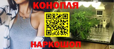 индика Гусь-Хрустальный