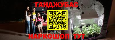 индика Гусь-Хрустальный