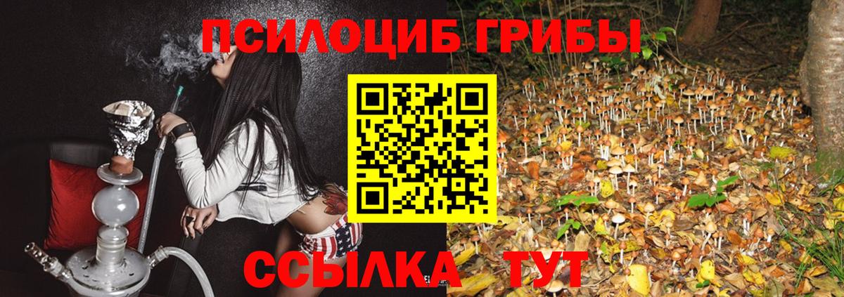 Мурино  Галлюциногенные грибы MAGIC MUSHROOMS  Вход с VPN  Псилоцибиновые грибы ЛСД 